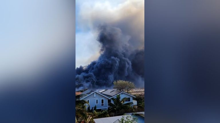 People jumped into the ocean off Maui to stay safe from wildfires that ...